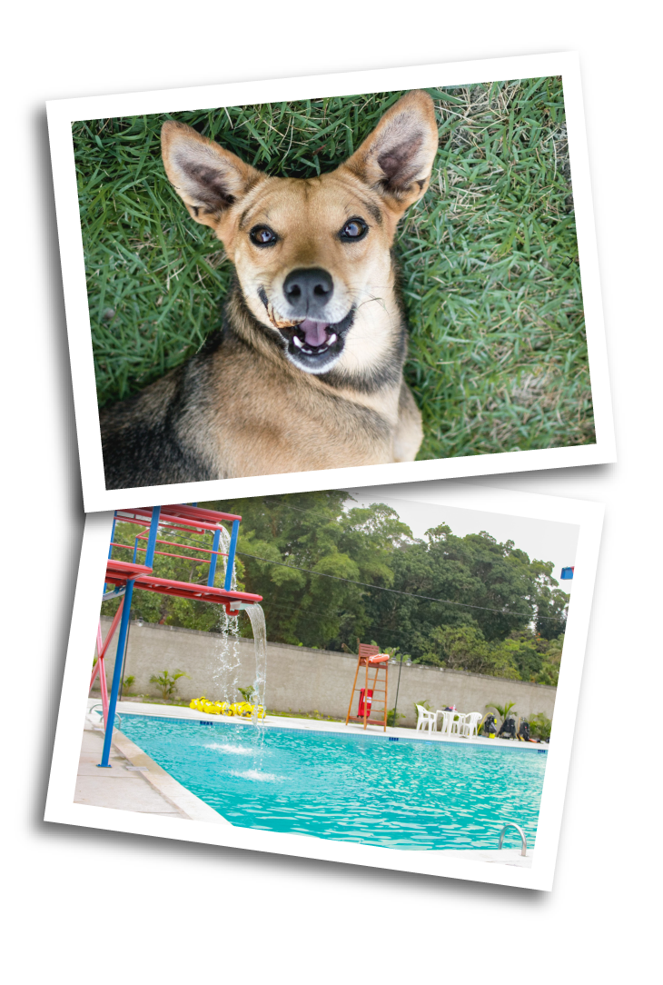 Parque Aquático e Mascote Pipoca